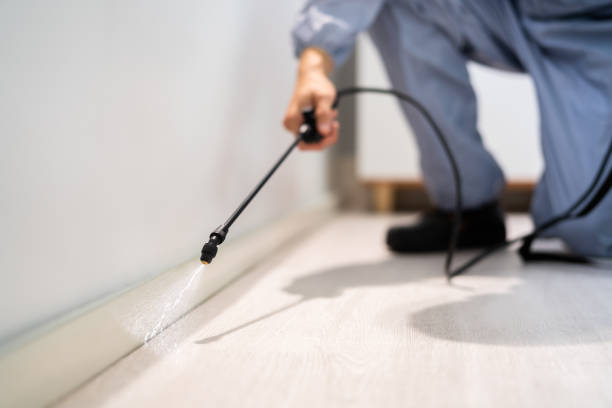 Professional exterminator conducting IPM assessment in Clewiston