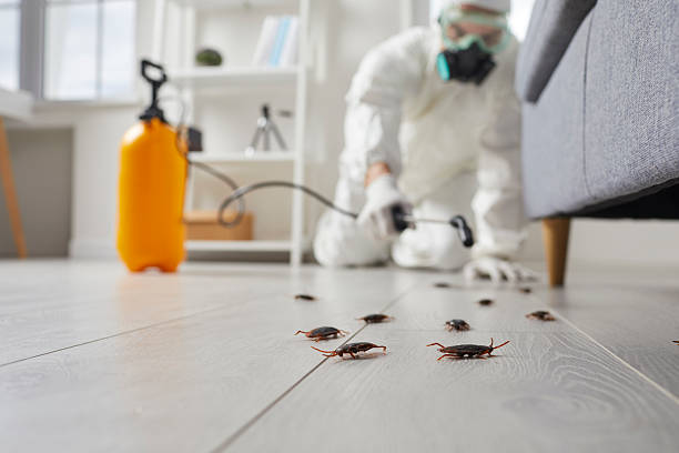 Post-Treatment Bed Bug Interceptor Monitoring in Clewiston